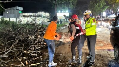 Pohon Tumbang Timpa Motor di Jalan Raya Bandung, Korban Dilarikan ke Rumah Sakit