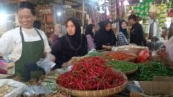 Pedasnya Harga Cabai di Cianjur, Pemicunya Kemarau 