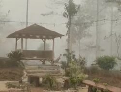 Agro Taruna Tani, Menikmati Dingin dan Kabut di Tengah Kebun