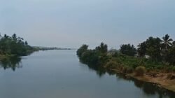 Fenomena Bugel Sempat Rendam Sawah Warga di Cidaun, Air Kini Kembali Surut