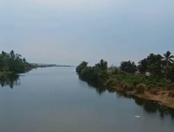Fenomena Bugel Sempat Rendam Sawah Warga di Cidaun, Air Kini Kembali Surut