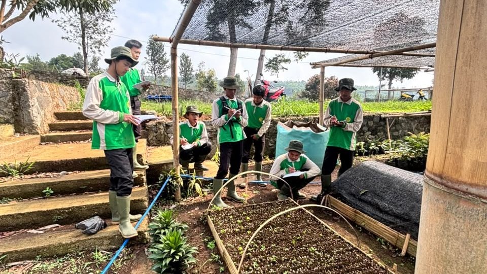 Teks: Siswa SMK Pertanian mengikuti PKL di Perkebunan Ciseureuh Cianjur.