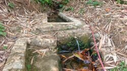 Cai Bungbulang, Mata Air yang Tak Takluk oleh Kemarau