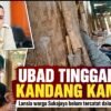Tinggal di Kandang Kambing Belum Masuk Desil, Ketua Fraksi Gerindra Sebut Jangan Biarkan Warga Terkendala Data