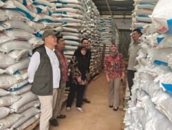 Musim Tanam Segera Tiba, Dinas TPHP Pastikan Ketersediaan Pupuk Subsidi