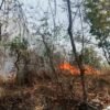 Lahan 1 Haktare Terbakar di Sindangbarang, Sengaja Atau Tidak Belum Diketahui