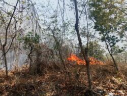 Lahan 1 Haktare Terbakar di Sindangbarang, Sengaja Atau Tidak Belum Diketahui