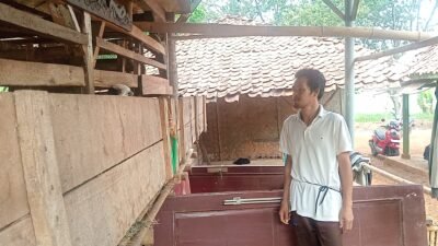 Miskin Ekstrem Desil 1, Keluarga di Cibeber Kok Gak Dapat Bansos?