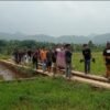 Panen Pisang Berujung Tewas Disengat Tawon