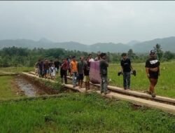 Panen Pisang Berujung Tewas Disengat Tawon