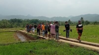 Panen Pisang Berujung Tewas Disengat Tawon