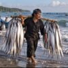 Musim Ikan Layur, Nelayan Cidaun Manfaatkan Cuaca Laut yang Bersahabat