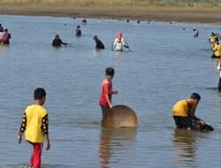 Muara Ciselang Mulai Jebol, Ratusan Warga Tumpah Ruah Berburu Ikan